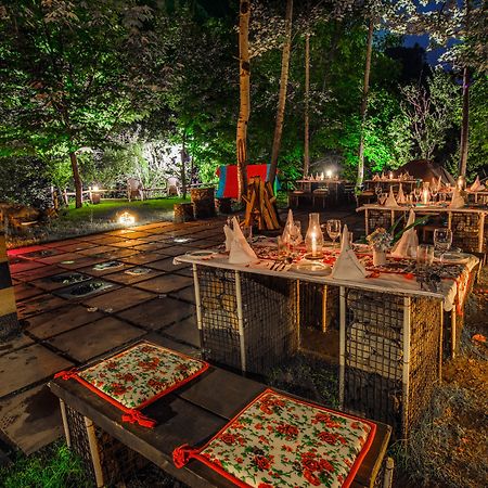 Solang Valley Resort Palchan Ngoại thất bức ảnh