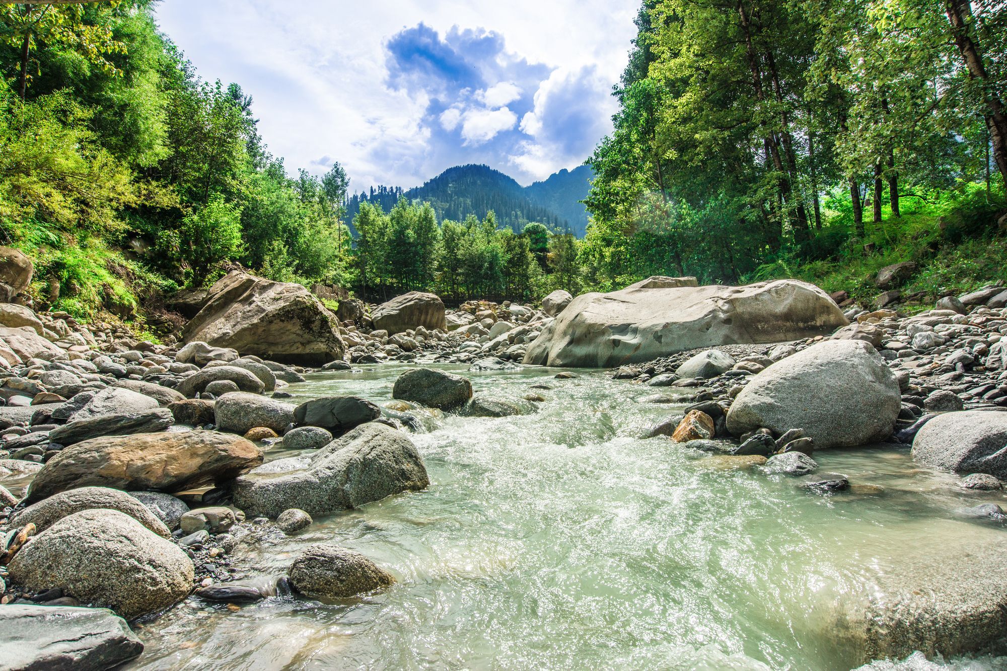 Solang Valley Resort Palchan Ngoại thất bức ảnh