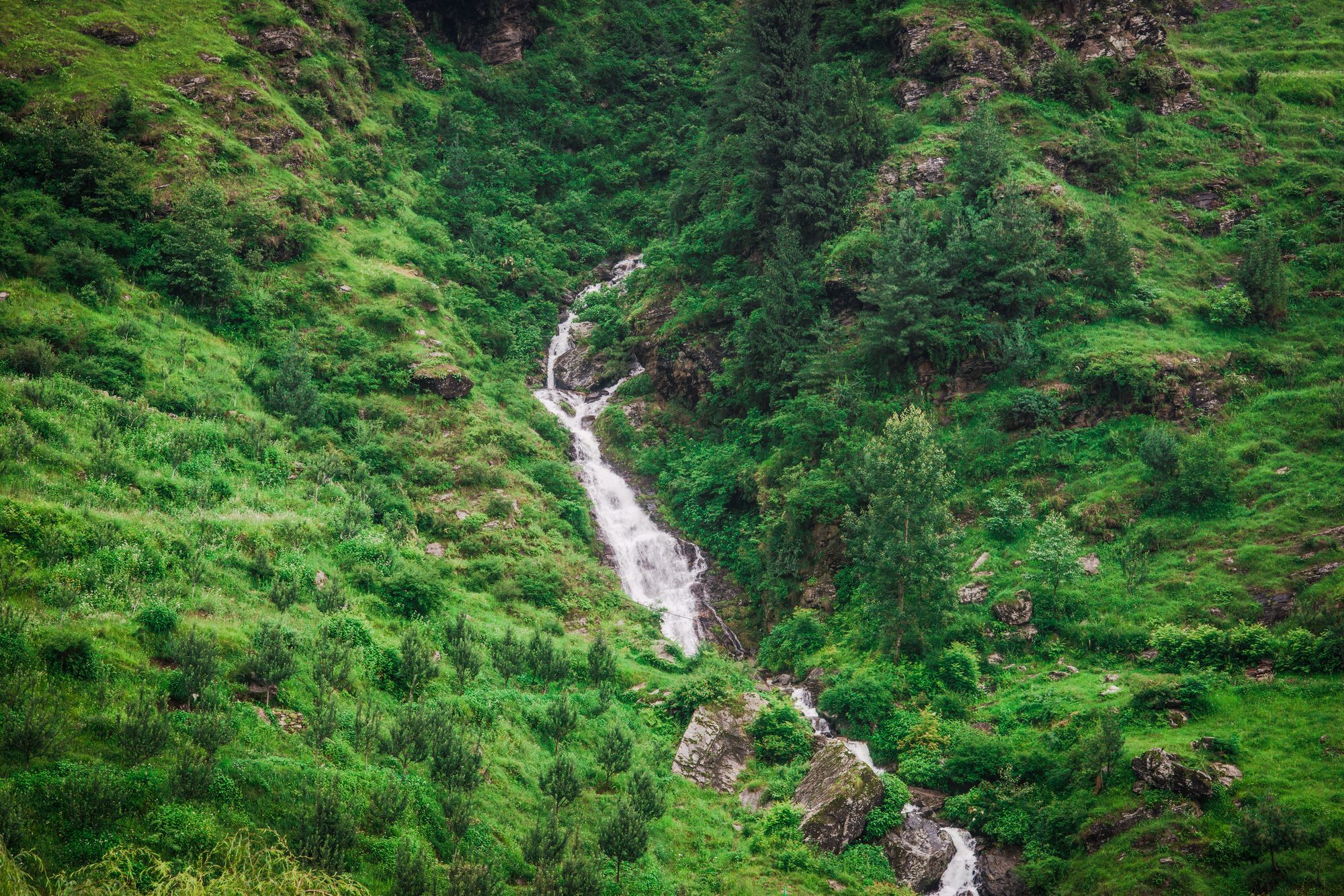 Solang Valley Resort Palchan Ngoại thất bức ảnh