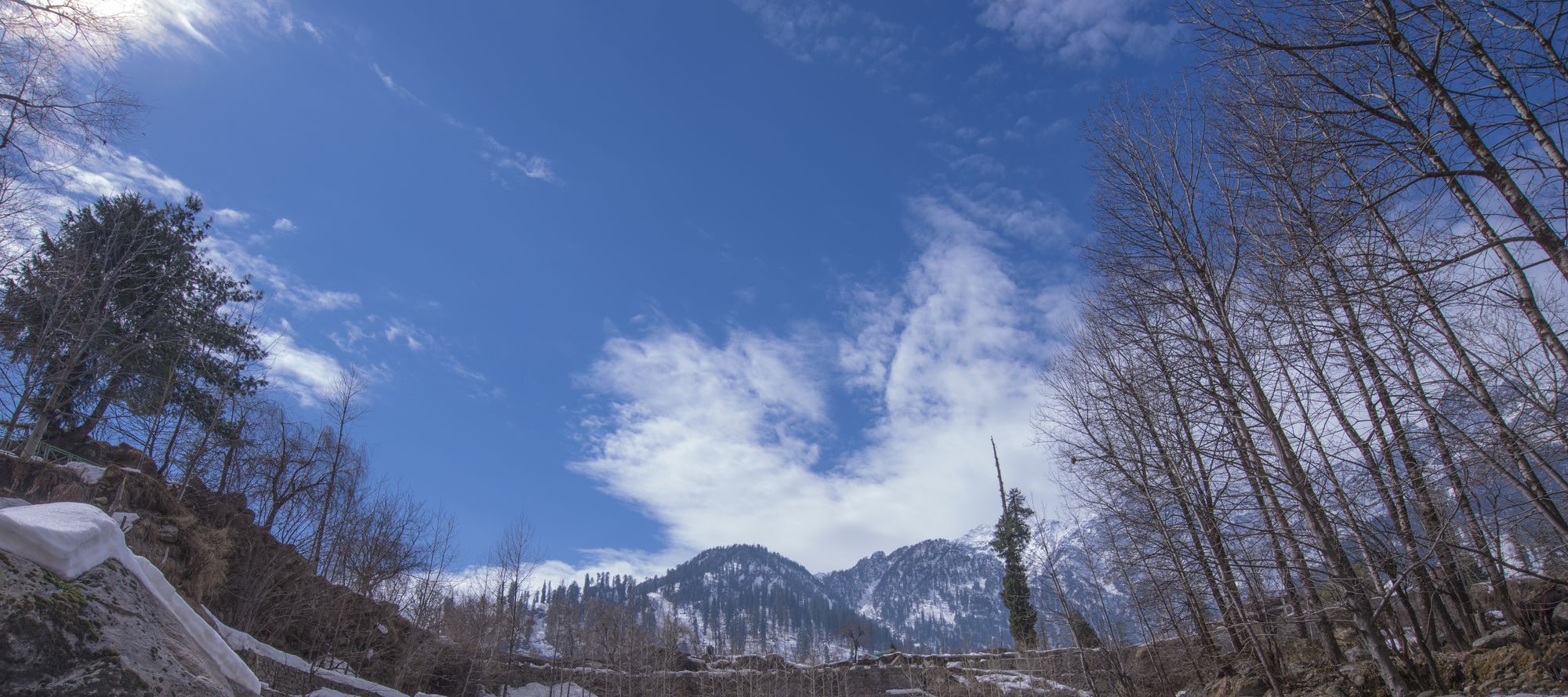 Solang Valley Resort Palchan Ngoại thất bức ảnh
