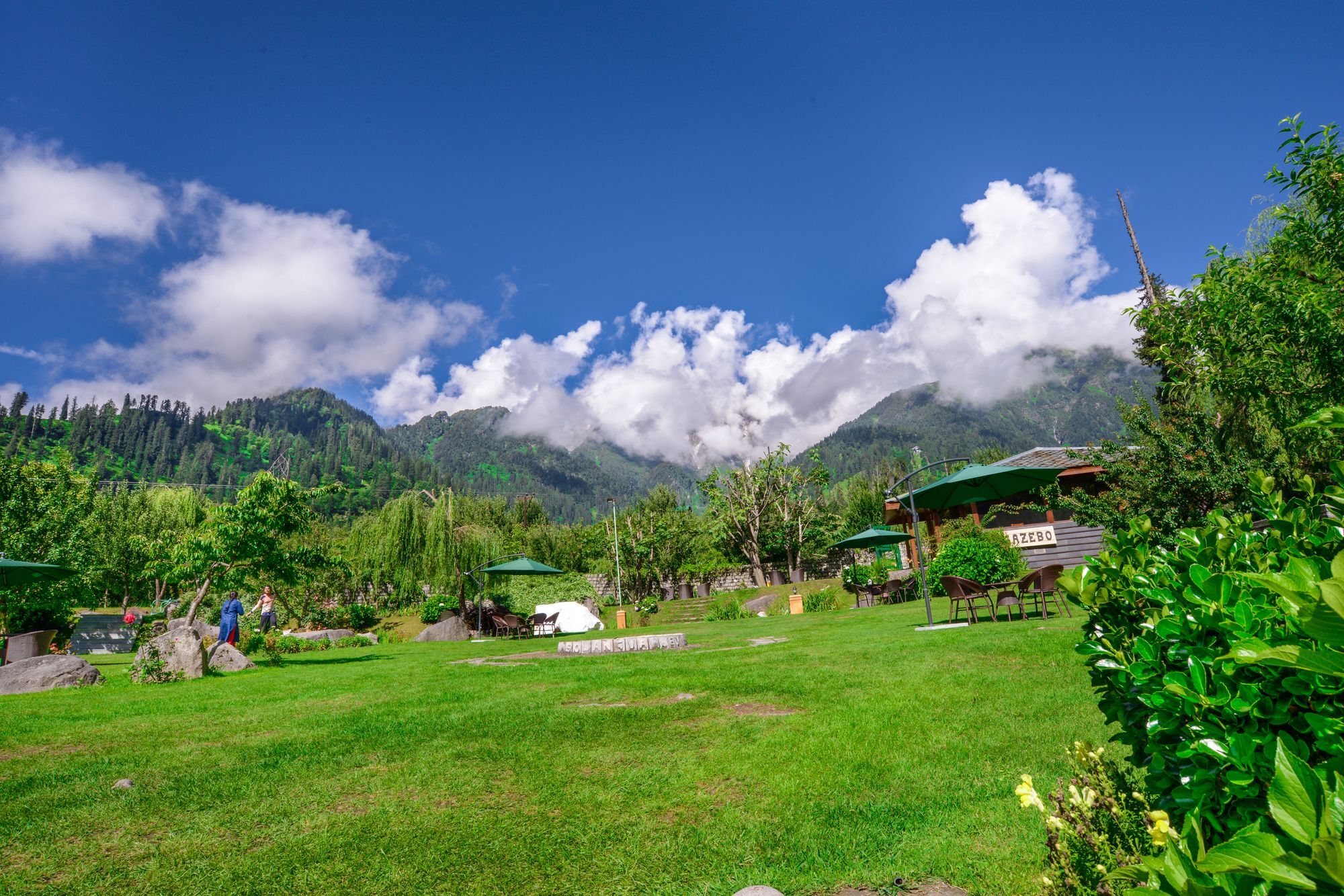 Solang Valley Resort Palchan Ngoại thất bức ảnh
