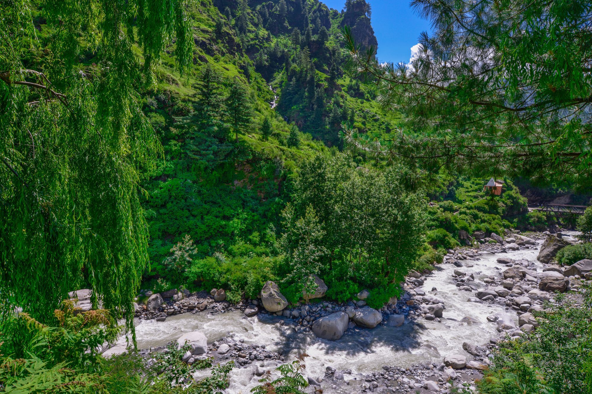 Solang Valley Resort Palchan Ngoại thất bức ảnh