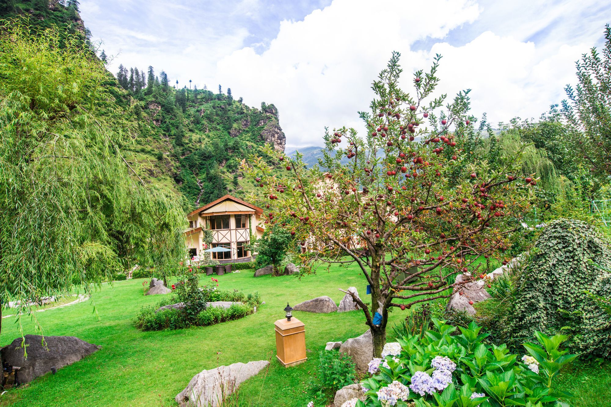 Solang Valley Resort Palchan Ngoại thất bức ảnh