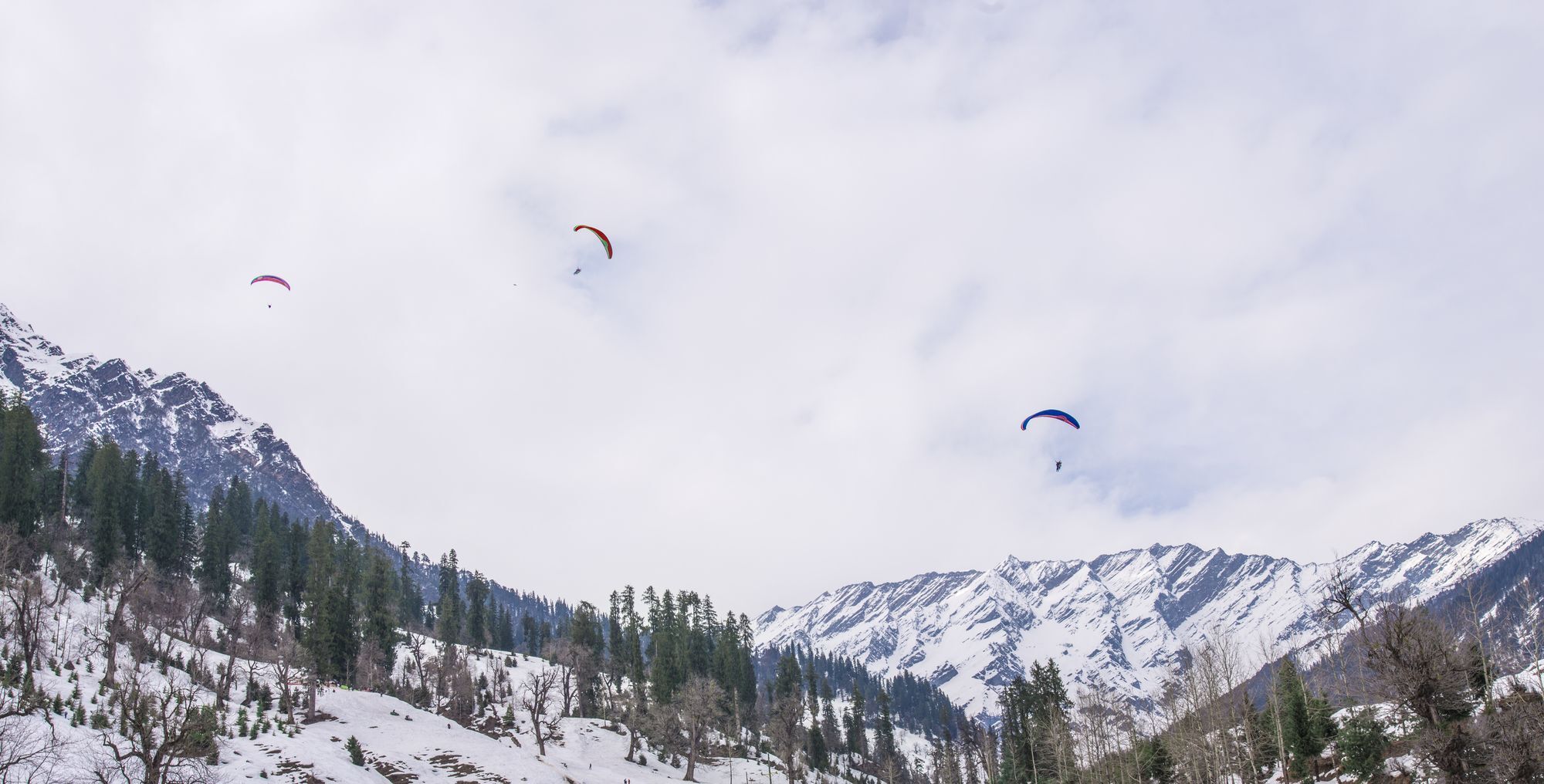 Solang Valley Resort Palchan Ngoại thất bức ảnh