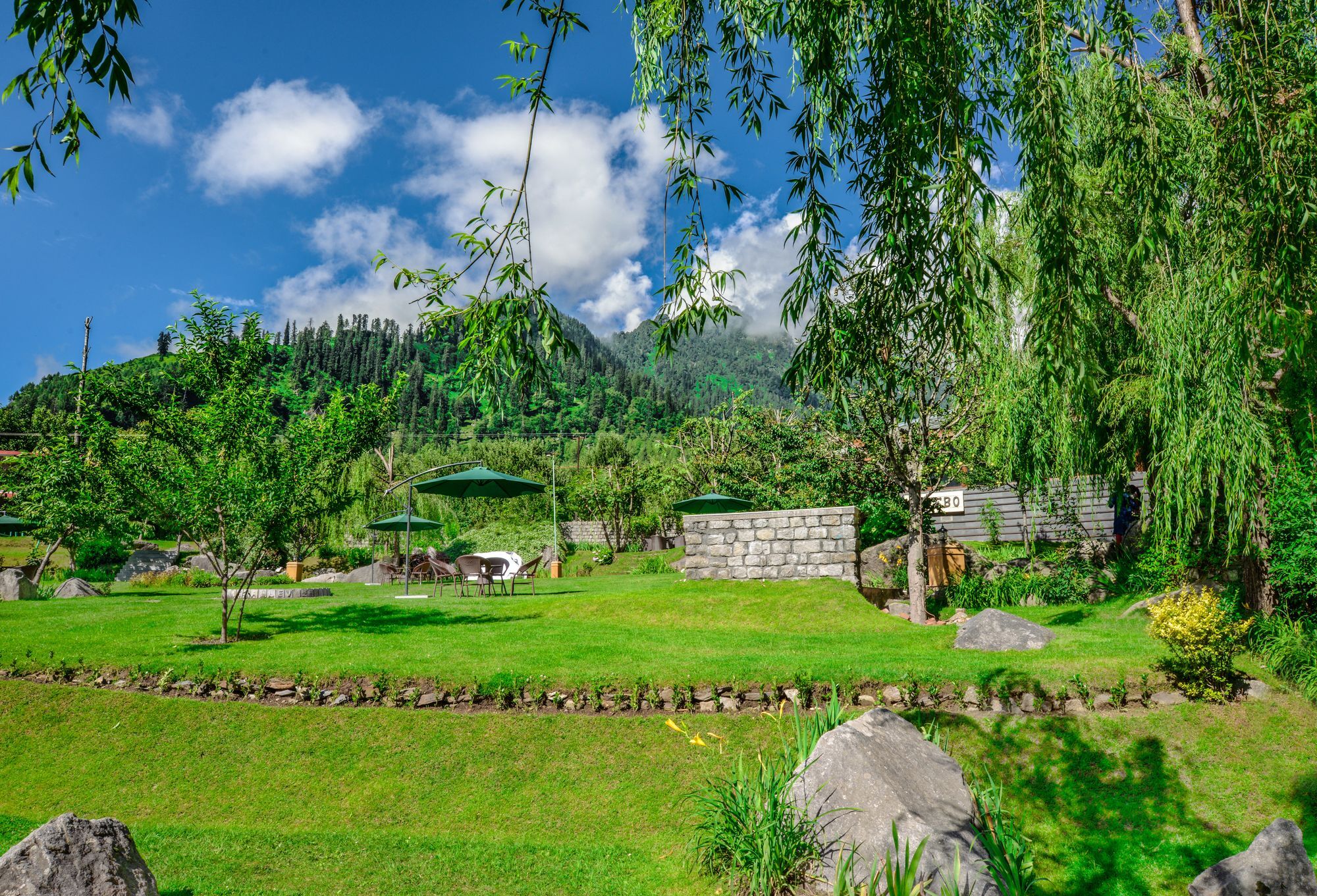 Solang Valley Resort Palchan Ngoại thất bức ảnh