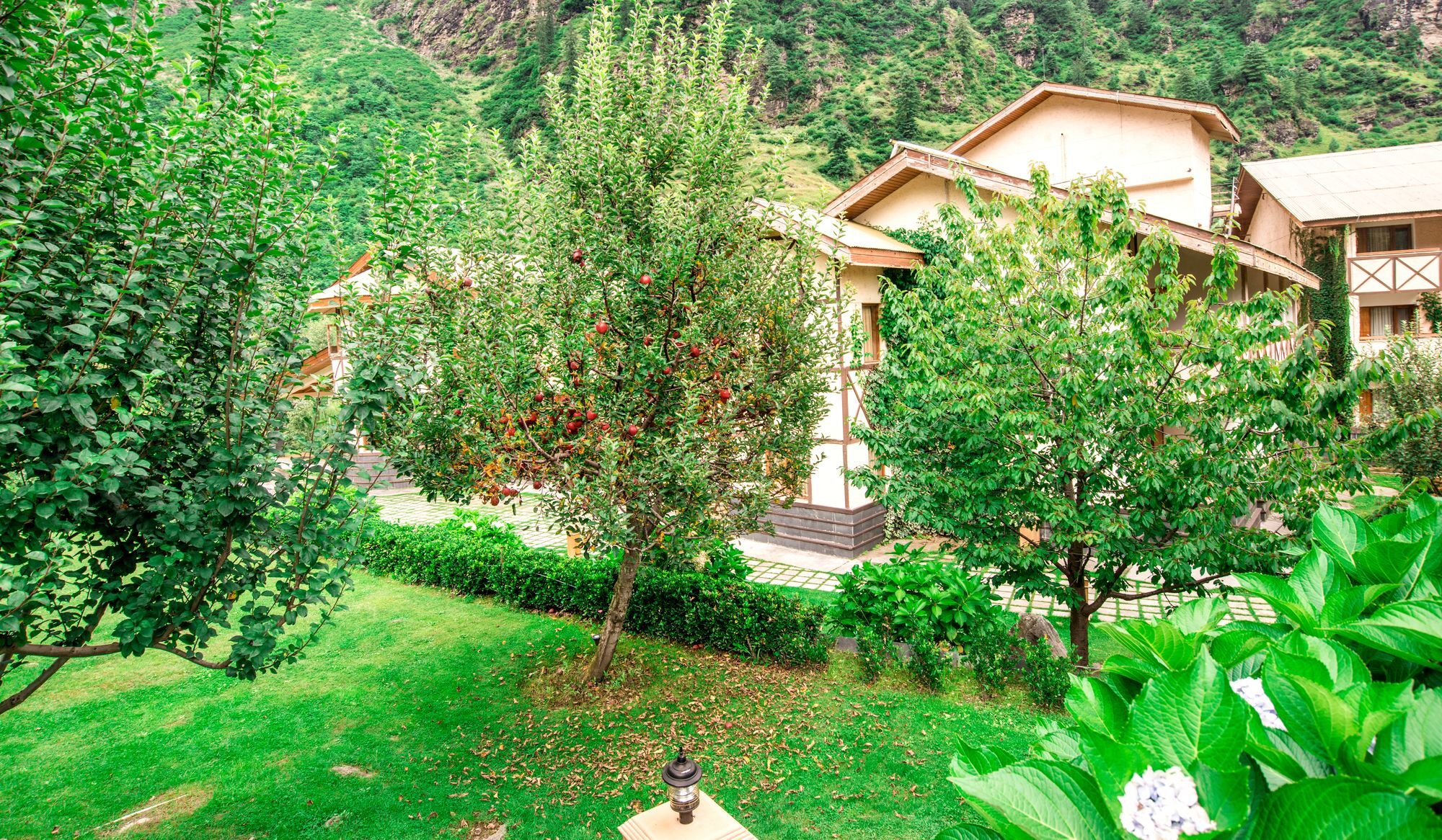 Solang Valley Resort Palchan Ngoại thất bức ảnh