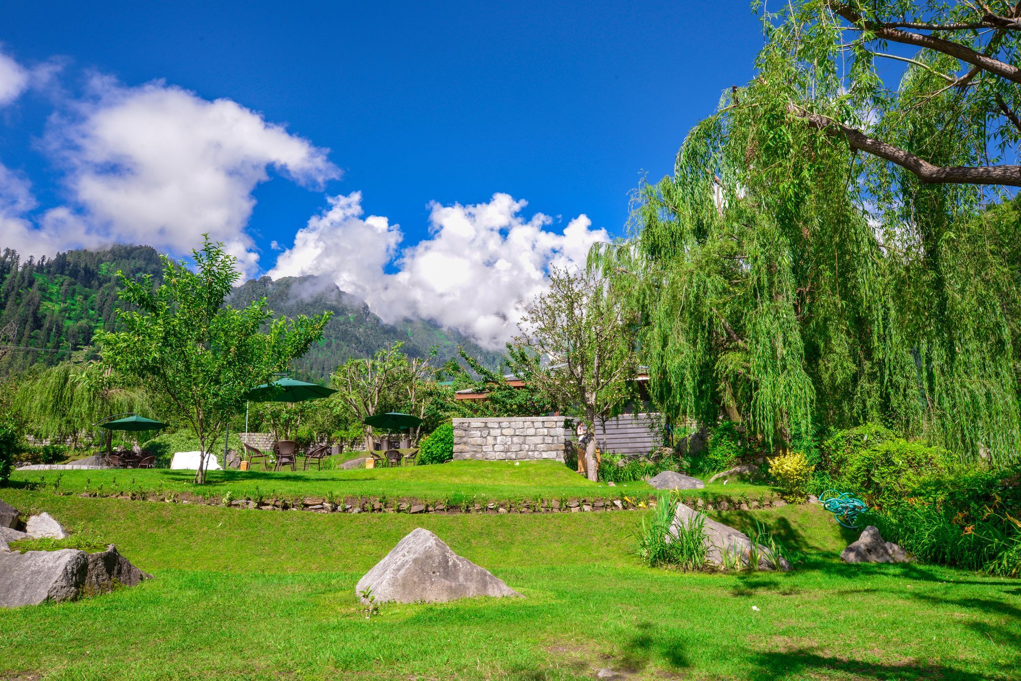 Solang Valley Resort Palchan Ngoại thất bức ảnh